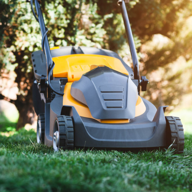 Jaka kosiarka elektryczna? Poradnik