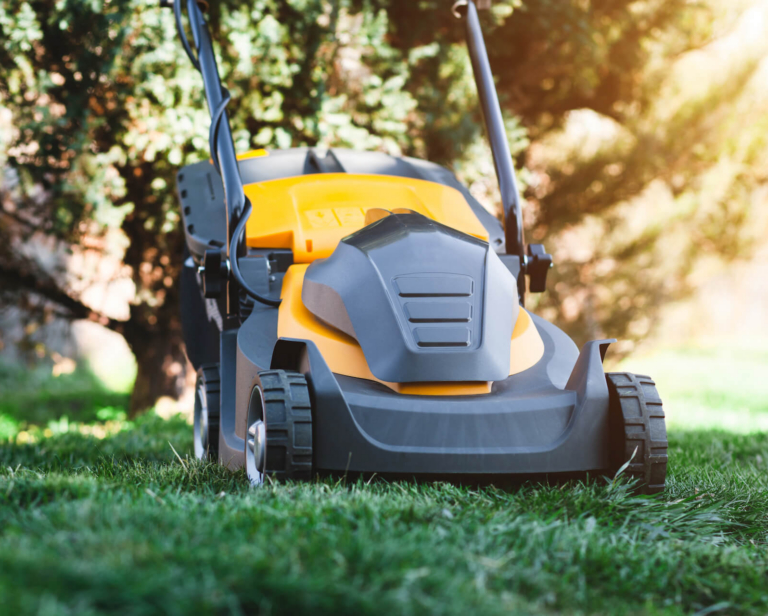 Jaka kosiarka elektryczna? Poradnik