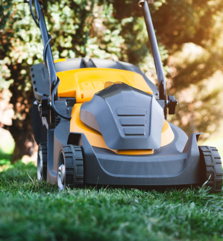 Jaka kosiarka elektryczna? Poradnik