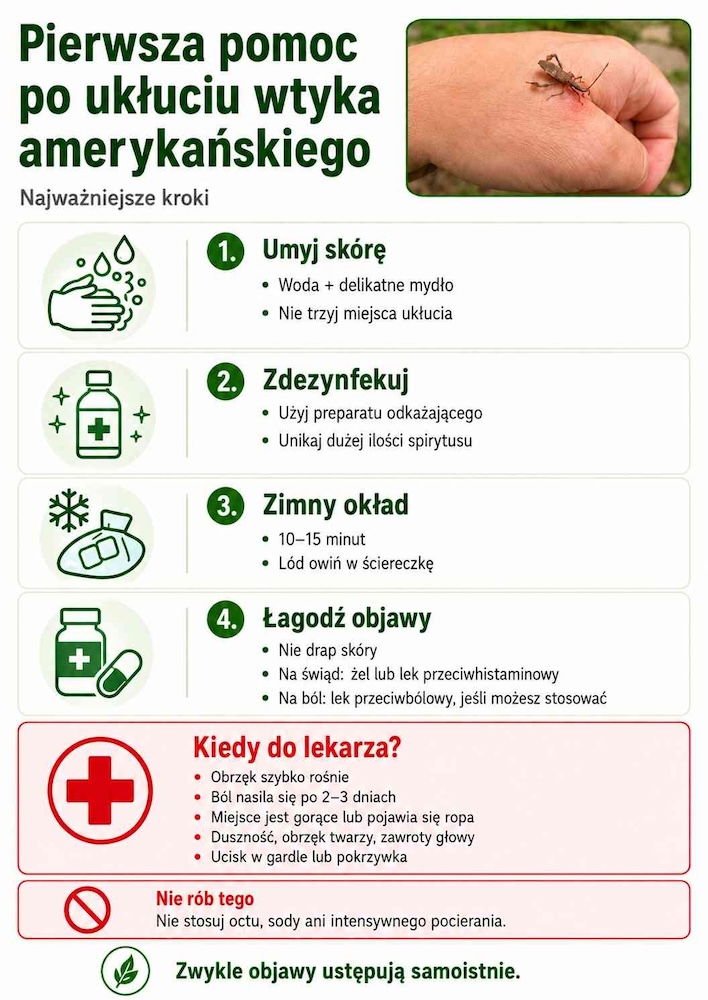 pierwsza-pomoc-po-ugryzieniu-wtyka-amerykanskiego co robić po ugryzieniu przez wtyka amerykańskiego