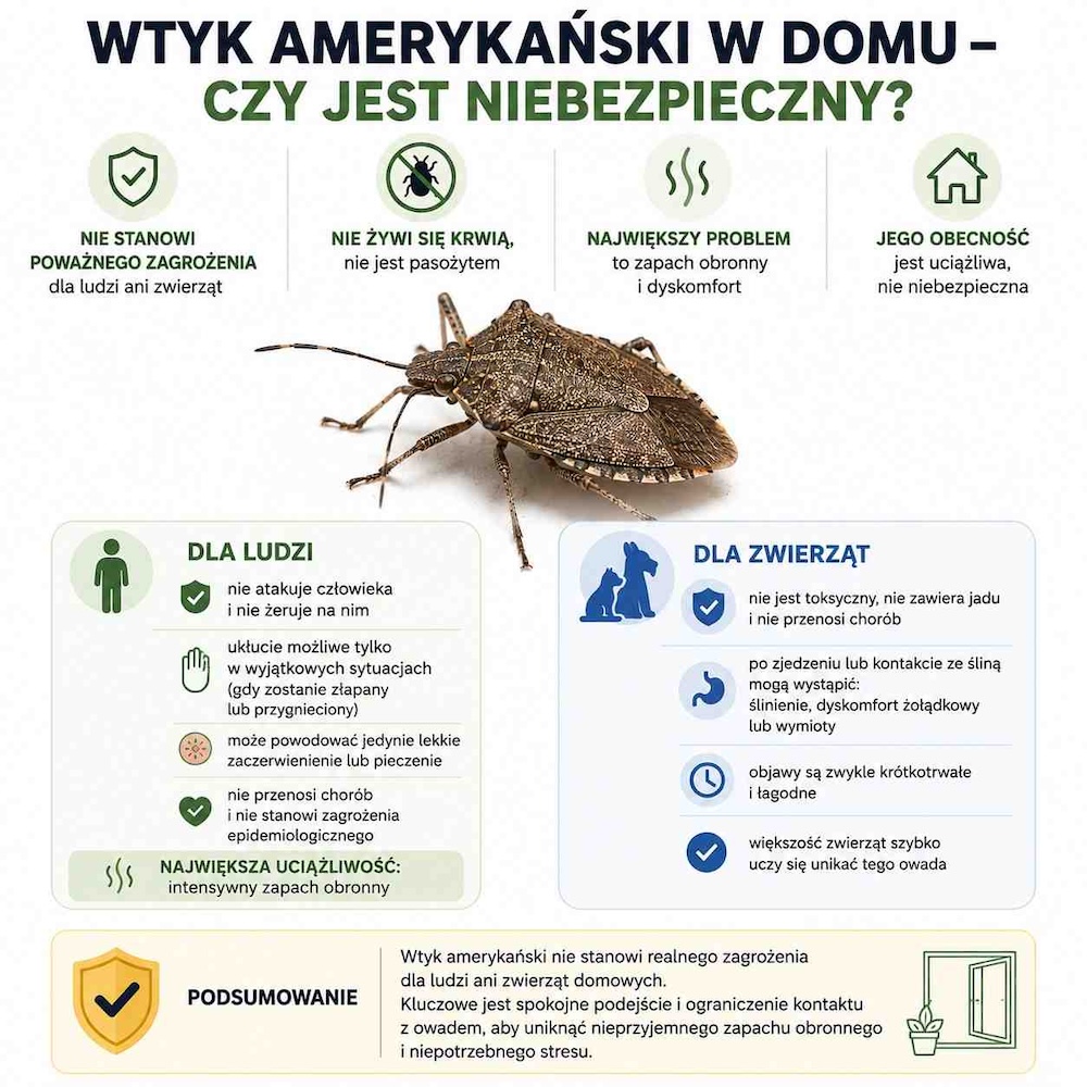 wtyk-amerykanski-w-domu-bezpieczenstwo wtyk amerykański w domu - zagrożenia